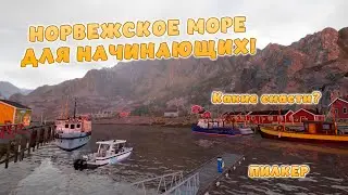 Русская рыбалка 4 - НОРВЕЖСКОЕ МОРЕ ДЛЯ НАЧИНАЮЩИХ! БЮДЖЕТНАЯ СБОРКА! НА ЧТО ЛОВИТЬ?