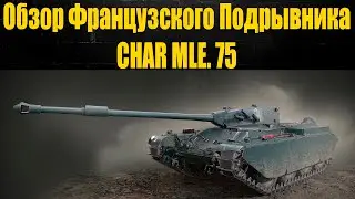 ☑️CHAR MLE. 75 светить нельзя, дамажить можноCHAR MLE. 75
