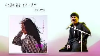 ai이수 - 시든꽃에 물을 주듯 [원곡 : 박혜원]