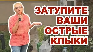 Затупите ваши острые клыки