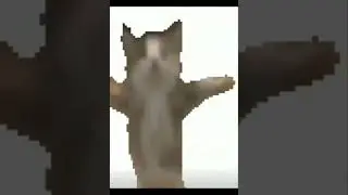 Шни шна шнапи Мем