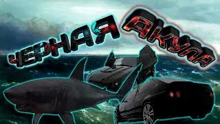 Черная акула