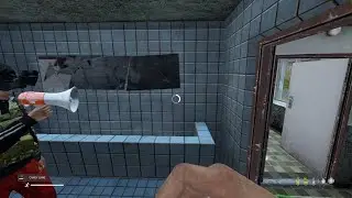 DayZ DuO