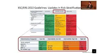 Risk Stratification and Current Treatment Algorithm- Anthony R. Cucci, MD