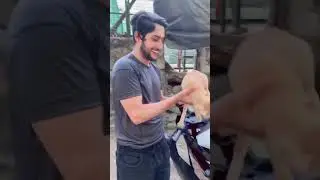 @AadilGurezi Caption this video …. 😁❤️My new friend 🐈 #reels #sadsong #catlover #tarotreading