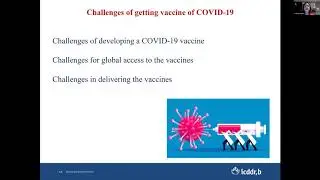 Is Vaccine a Silver Lining for the COVID Pandemic?