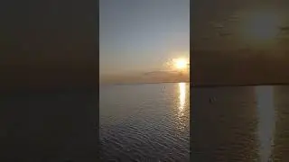 #Азовское #море #медузы июль