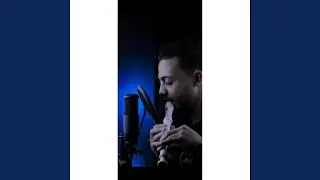 Baby Stop (Recorder Beatbox)