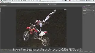 Neat Image クイックスタートガイド