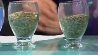 РАСТОРОПША ПОЛЬЗА  Как омолодить и очистить организм от шлаков при помощи расторопши