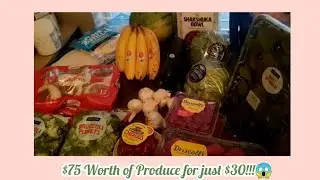 |What $65 gets a Couple in Groceries| 2 Weeks of Groceries~Aldis, Public Wholesale