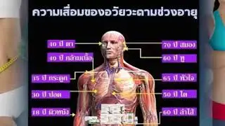 #ความเสื่อมของอวัยวะตามช่วงอายุ