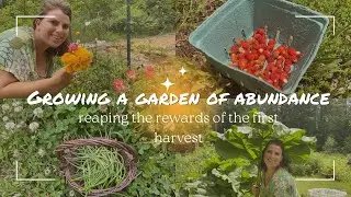 Growing a Garden of Abundance: Reaping the Rewards of the First Harvest