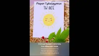 Солнышко