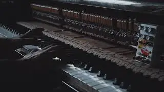 Chase Bliss Audio Reverse Mode C and Piano