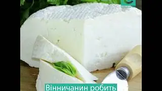 Корова Обама