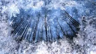 Красивое новогоднее видео. Рождественское поздравление