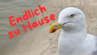Endlich zu Hause