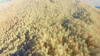 Кодорское ущелье