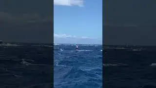 Moloka’i 2 Oahu SUP Foil 2024