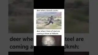Good Random Memes