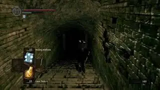 Dark Souls R: Back To The Beginning