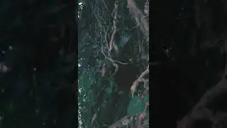Stranger Things Tree