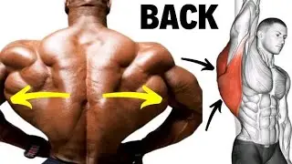 Back Workout At Home For Beginners
