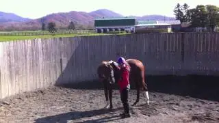 half-tap relax.mov