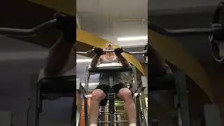 Preacher Curls