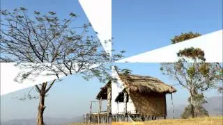 Zantin Mangṭha - Lalnunsanga