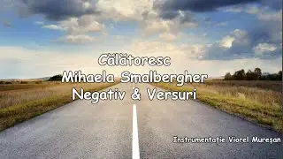 Călătoresc |                                                         Negativ & Versuri