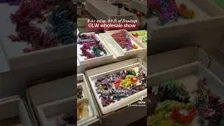 GLW Wholesale Gem Show Setup, Crystal Concentrics