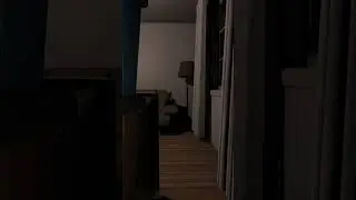 Прибежал призруч (phasmophobia)