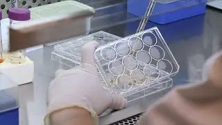 Anthrax may be the next tool in the fight against bladder cancer