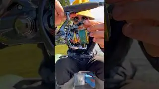 Хорошая катушка и рыбалка в кайф 