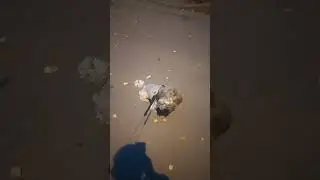 прогулка