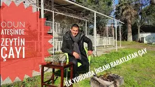 ÇAYLARIN KRALI ZEYTİN YAPRAĞI ÇAYI YAPTIM - TADI ÇOK GÜZEL