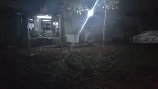 kumpulan para janda