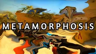 METAMORPHOSIS CSGO