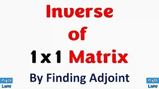 Inverse of  1 X 1 Matrix || By Finding Adjoint