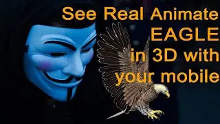 See real animate Eagle in 3D with your mobile