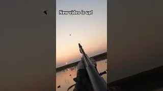 Flooded Corn Duck Hunt 