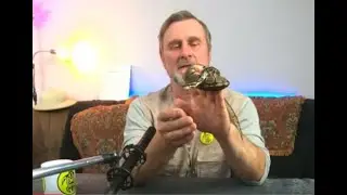 Экологическое  образование.