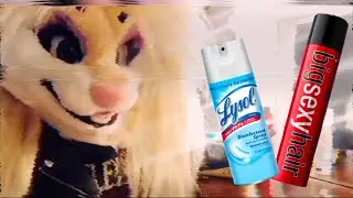 Random HairClips: That's not HairSpray..