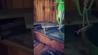 Стоицизм и баня