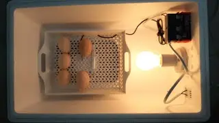 How to Make an Incubator at Home | Home Made Incubator | Hatch The Eggs & Earn Money | Incubator