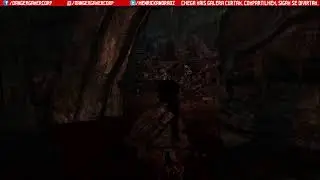 Tomb Raider