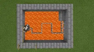Cow IQ Test