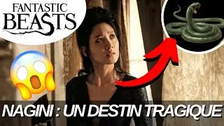 LE DESTIN TRAGIQUE DE NAGINI ... (LES SECRETS DE DUMBLEDORE)
